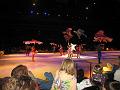 Disney On Ice 040